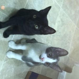 Meet your Posher, Haley